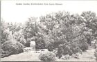 Schifferdecker Park Sunken Garden Joplin Missouri Vintage Postcard B22