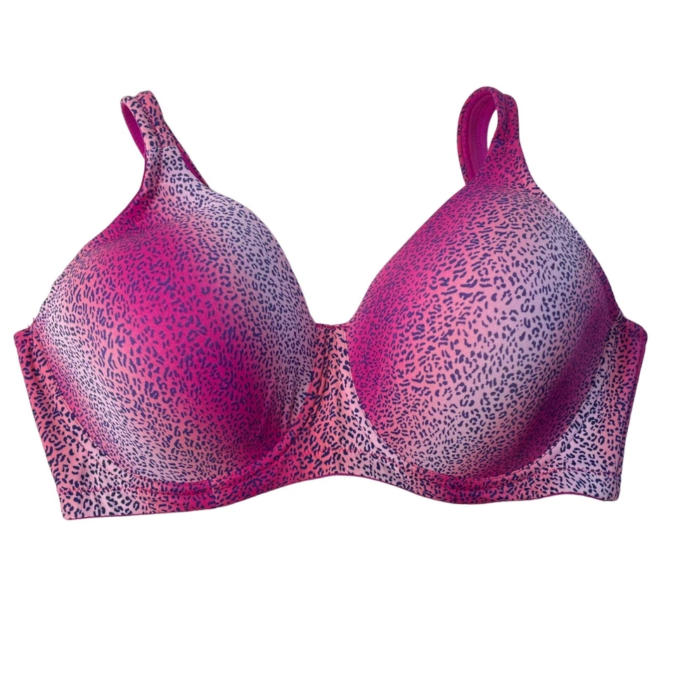 Brigette Seamless Underwire T Shirt Bra Pink Purple Model 5028 Size 42 C New - Image 1 of 4