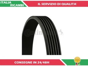 1 CINGHIA POLY-V CONTITECH 6PK1195 - Foto 1 di 1