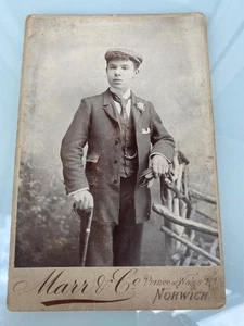 CABINET CARD CDV PHOTOGRAPH YOUNG MAN FLAT CAP GLOVES & STICK MARR NORWICH - Picture 1 of 2