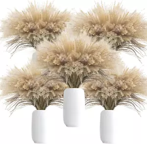 500Pcs Natural Dried Pampas Grass Plume 17Inch Tall Dried Flowers Bulk Reed Drie - Picture 1 of 7