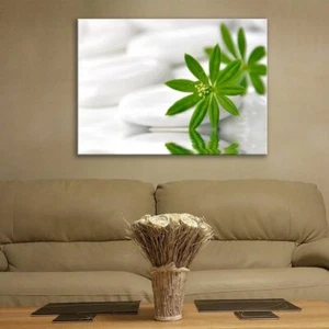 Glass Picture Toughened Wall Art Unique Home Decor White Stones Plants Any Size - Picture 1 of 4
