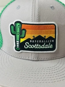 Baseballism Spring Training Limited Edition Hat - Picture 1 of 7