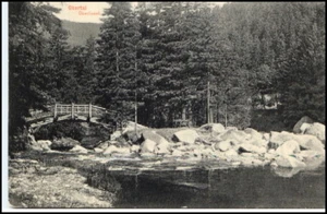 Okertal Okerinsel Oker Brücke Harz Niedersachsen ~1910 - Bild 1 von 1