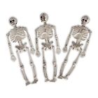 Skeleton My Other Me 3 Units 7 X 5 X 20 Cm Costume Accs NEW