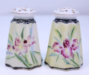 Salt & Pepper Shaker VTG Rose Pattern Antique Fine China Set Bundle Hand Painted - Picture 1 of 12