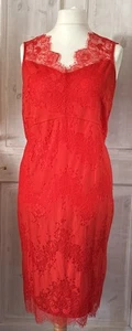 Wallis Size16 Lined Lace Knee Length Red Shift Dress BNWT RRP£55 - Picture 1 of 10