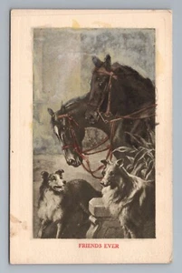 Friends Ever Horses Collies Vintage Art Vintage Postcard - Bild 1 von 2