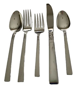 Vintage 5 Piece Set Oneida Brookwood Glossy Stainless W. M. Dalton Flatware New - Picture 1 of 3