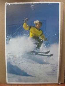Vintage 1975 Powder Blast skiing Ski Inv#G461 - Picture 1 of 5