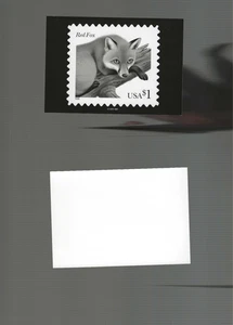 1998 $1 FOX (3036) PUBLICITY PHOTO ESSAY  (4x5") - Picture 1 of 4