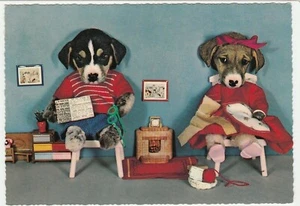 Vintage Postcard Dressed Dogs Unused Kruger Card Sitting by Fireplace - Picture 1 of 2