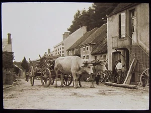 Glass Magic Lantern Slide QUARRE LES TOMBES OX CART DATED 1901 PHOTO FRANCE - Picture 1 of 2
