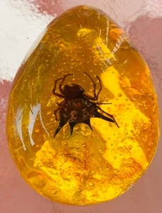 Amber Variety with Inclusion prehistoric spider (Polybern) 140 Million BC - Picture 1 of 23