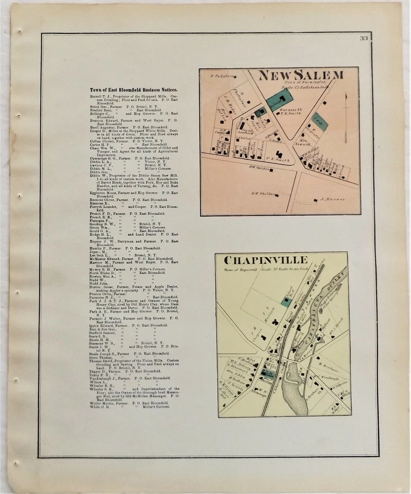 Nuevo mapa atlas del condado de Ontario de Salem Chapinville de Nueva York 1874 Foto 1 de 1