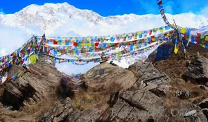 5x sets (1 pack) 35cm Tibetan Buddhist Prayer Flags Wind Horses Made In Nepal  - Zdjęcie 1 z 3