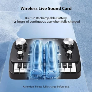 Live Sound Card Piano Shape Audio Recording Desktop Singing BT Wireless Lossless - Afbeelding 1 van 7