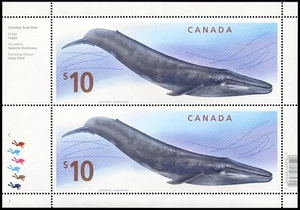 Canada Stamp, Pair, Blue Whale, #2405 MNH - Picture 1 of 1