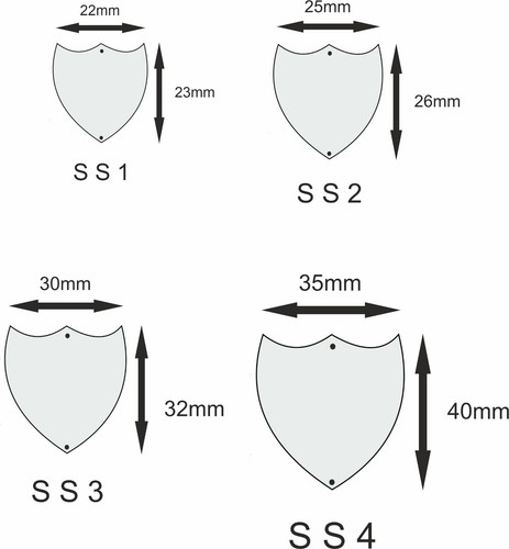 Flat chrome record shield - 4 sizes - engraved or blank - supplied with ...