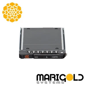 Dell 3.84TB PCIe Gen5 NVMe RI TLC E3.S SSD 831H5 0831H5 - Imagen 1 de 1