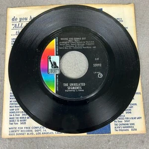 The Unrelated Segments Where You Gonna Go?/It's Gonna Rain RARE! 45 RPM - Picture 1 of 2