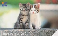 RARE TC  JAPON à puce intégrée - ANIMAL CHAT -  CAT IC CHIP JAPAN phonecard 2004
