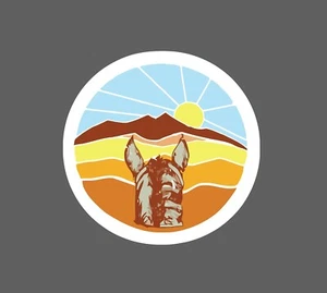 Horse Ride Sticker Western Waterproof - Picture 1 of 3