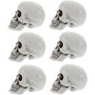  6Pcs Mini Skeleton Heads Halloween Prank Small Skull Models Resin Skeleton Head