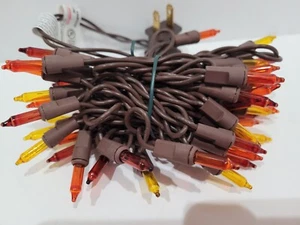 Thanksgiving Fall Harvest 50 String Lights Indoor/Outdoor Brown Yellow Orange - Picture 1 of 7