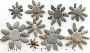 9 sets Flower Daisy Sun Spider Rocks Natural Beach Stone Garden Art Sign Craft - Picture 1 of 12