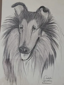 Vintage Dahlis Diess Roy Collie Pencil Drawing Framed Slippery Rock Stevensville - Picture 1 of 9