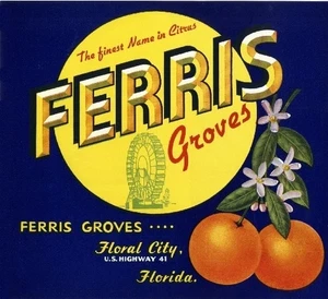 f50 Floral City Ferris Groves Florida Orange Citrus Fruit Label Fridge Magnet - Picture 1 of 1