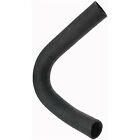For 1962-1964 Plymouth Savoy 3.7L L6 Radiator Coolant Hose Lower Dayco 1963 1964