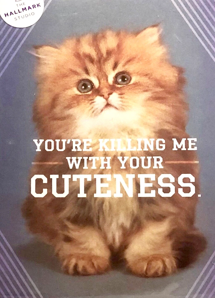 You're killing me with your cuteness small open Birthday greetings card, new - Image 1 of 1