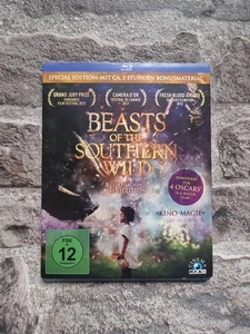 Beasts of the Southern Wild - Bluray  Film / DVD  - Imagen 1 de 2