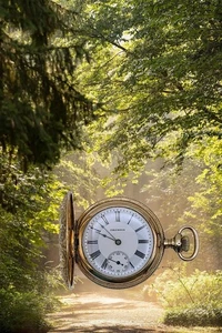 1896 - 1900 Columbia 6er, 7 Juwelen - Bild 1 von 14