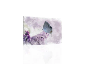 Butterfly II - CANVAS or PRINT WALL ART - Picture 1 of 2