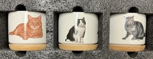 Set 3 Cat Design Planters - NEW in Box - Picture 1 of 7