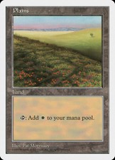 MTG - Plains - Fifth Edition - X1 - (NM) - FREE SHIPPING - #T6548