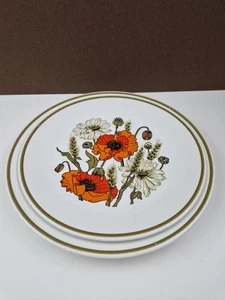 J & G MEAKIN POPPY luncheon & dinner plate - Picture 1 of 4