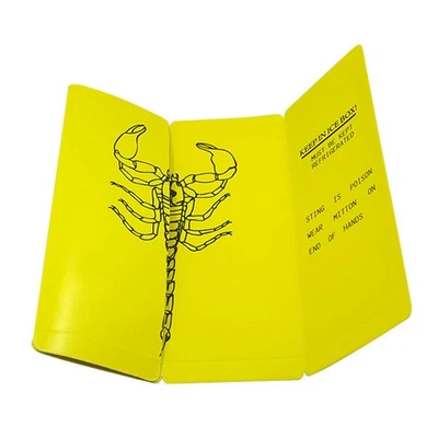  2 Pcs Dried Insect Collectible Fake Scorpion Trick Cool Toys Tool - Image 1 of 4