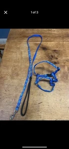 Lupine 4’ Leash And Roman Harness - Picture 1 of 2