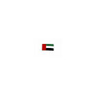 United Arab Emirates Country Flag Iron-On Patch Crest Badge 1.5 X 2.5 Inch