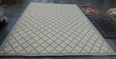 Alfombra CREMA/AQUA 9' X 12' Roscas Sueltas Precio Reducido 1172604140 LND121L-9 Foto 1 de 4