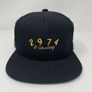 Trophy Hunting Stephen Curry 2974 And Counting Hat Wool Never Worn Very RARE - Picture 1 of 8
