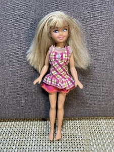 Mattel Barbie Camping Sisters Stacie Doll w/ Side Glance 2008 And Dress - Picture 1 of 14