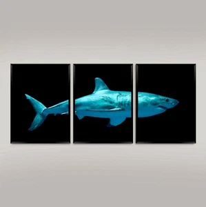 ESTAMPES REQUINS : Superbe affiche d'art triptyque blanc - Photo 1/4