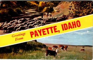 Chrome Banner Postcard Payette Idaho ID PM 1961 Sheep Cows - Picture 1 of 2