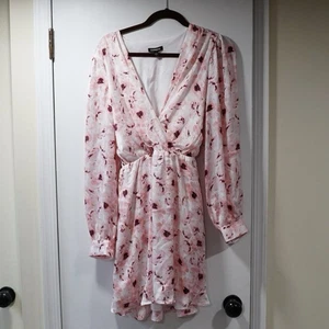 EXPRESS Womens Mini Dress Pink Floral Long Sleeve V Neck Large 🌸 - Picture 1 of 15