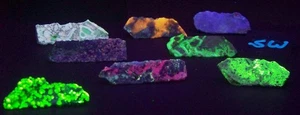 UV 8 Specimens for Study w - Chalcedony w Magnesite - Fluorite - Youngite - Opal - Picture 1 of 7